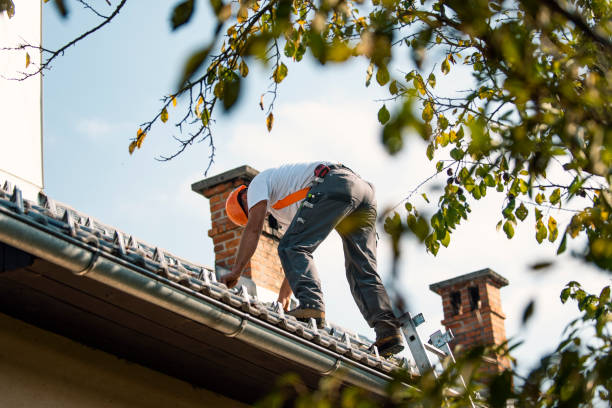 Best Sheet Metal Roofing  in Sandstone, MN