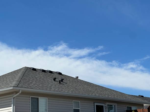 Asphalt Shingles Roofing in Sandstone, MN